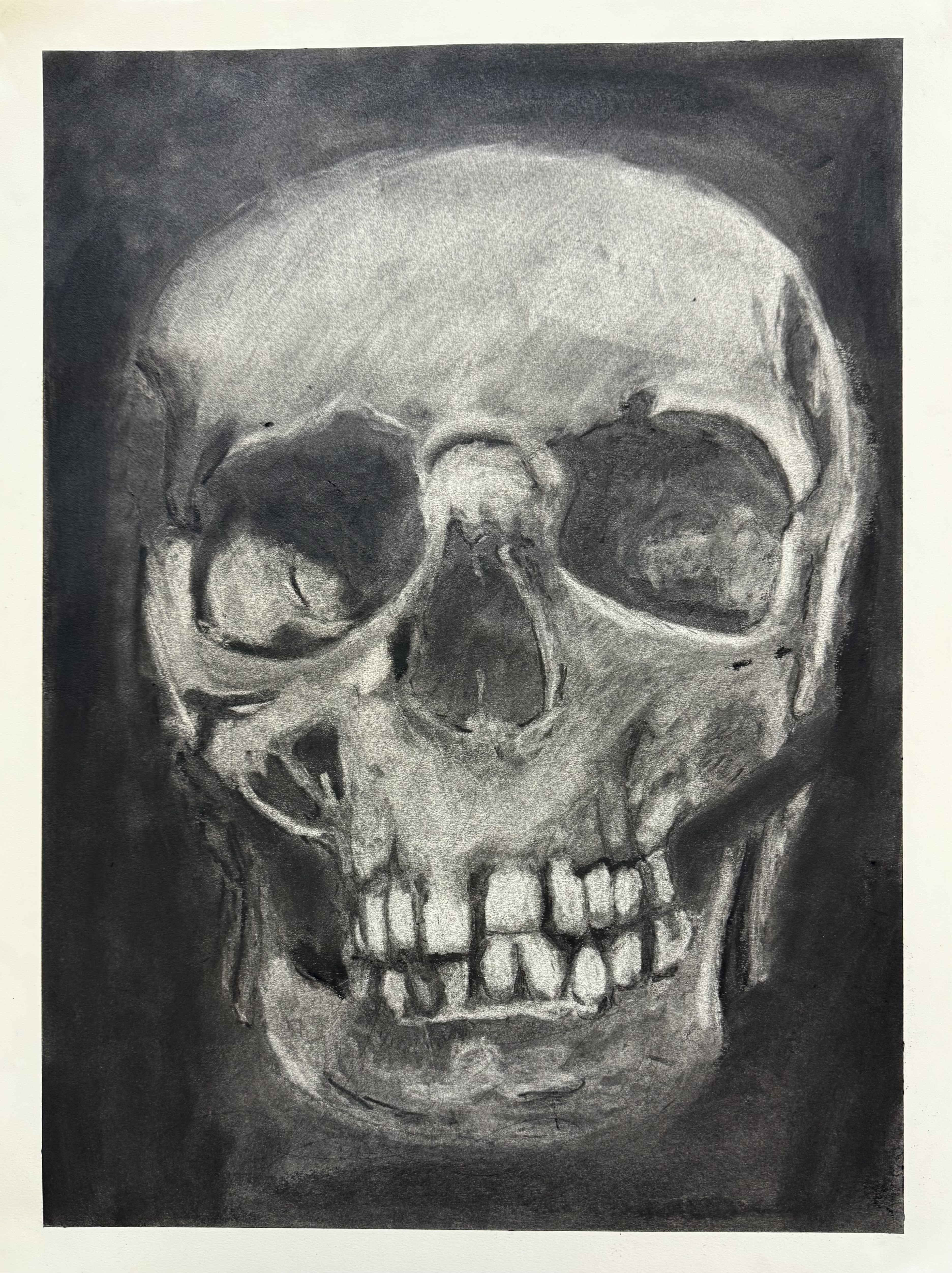 Skull Head Concept Art
